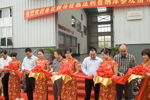 优惠活动办理大厅_首页